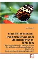 Prozessbeobachtung - Implementierung eines Sterbebegleitungs-leitfadens