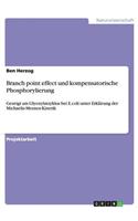 Branch point effect und kompensatorische Phosphorylierung
