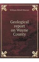 Geological Report on Wayne County