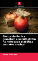 Efeitos do Punica granatum e/ou Sitagliptin na nefropatia diabética em ratos machos