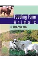 Feeding Farm Animals