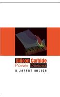 Silicon Carbide Power Devices