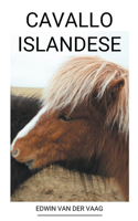 Cavallo Islandese