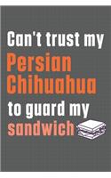 Can't trust my Persian Chihuahua to guard my sandwich: For Persian Chihuahua Dog Breed Fans