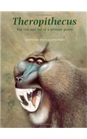 Theropithecus
