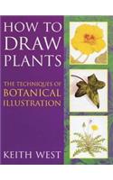 How to Draw Plants