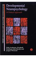 Developmental Neuropsychology: A Clinical Approach