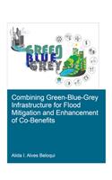 Combining Green-Blue-Grey Infrastructure for Flood Mitigation and Enhancement of Co-Benefits