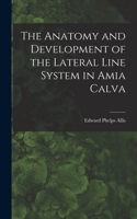 Anatomy and Development of the Lateral Line System in Amia Calva