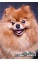 Pomeranian 2020 Weekly Planner