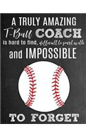 A Truly Amazing T-Ball Coach Is Hard To Find, Difficult To Part With And Impossible To Forget