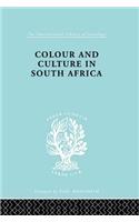Colour and Culture in South Africa