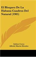 El Bloqueo de La Habana Cuadros del Natural (1905)