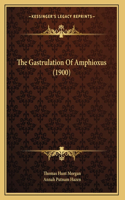 The Gastrulation Of Amphioxus (1900)