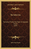 The Salton Sea