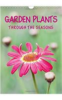 Garden Plants Through the Seasons 2017