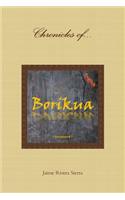 Chronicles of Borikua; Deciphered