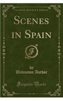 Scenes in Spain (Classic Reprint)