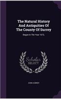 The Natural History And Antiquities Of The County Of Surrey: Begun In The Year 1673,