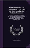 The Rudiments of the Latin Tongue, Or, a Plain and Easy Introduction to Latin Grammar: Wherein the Principles of the Language Are Methodically Digested, Both in English and Latin: With Useful Notes and Observations, Explaining the Term