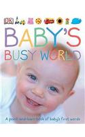 Baby's Busy World