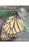 Netezza Transformation