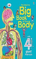 Big Book of The Body (Big Books)