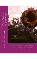 The Colors in Between: (English)
