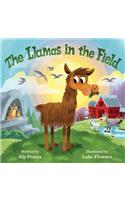 Llamas in the Field