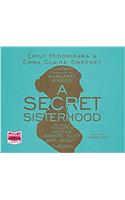 A Secret Sisterhood: The Hidden Friendships of Austen, Bronte, Eliot and Woolf