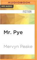 Mr. Pye