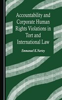 Accountability and Corporate Human Rights Violations in Tort and International Law