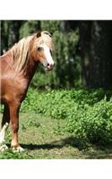 Welsh Mountain Pony: Artified Pets Journal/Notebook/Diary with Nose Tip to Tail End Wraparound Cover Image