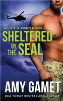 Sheltered by the SEAL: (Hero Force)