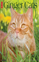 Ginger Cats 2026 12 X 12 Wall Calendar