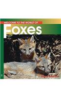Welcome to the World of Foxes