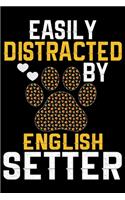 Easily Distracted by English Setter