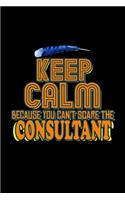 Keep calm because you can't scare the consultant: Notebook - Journal - Diary - 110 Lined pages - 6 x 9 in - 15.24 x 22.86 cm - Doodle Book - Funny Great Gift