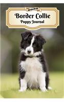 2020 Border Collie Puppy Journal: Weekly Planner - 12 Months - 107 pages 6 x 9 in. - Calendar - Diary - Organizer - Vaccinations - Vet Appointments - Half Spread Blank Pages