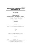 Examining global warming issues in the power plant sector