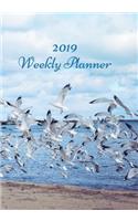 2019 Weekly Planner