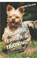 Yorkshire Terrier Training