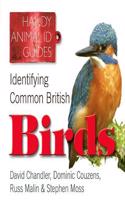 Identifying Common British Birds: (Handy Petcare Guides)