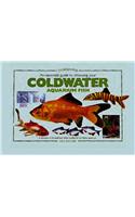 An Essential Guide to Choosing Your Coldwater Aquarium Fish