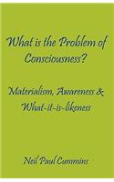 What is the Problem of Consciousness?