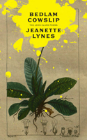 Bedlam Cowslip