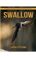 Swallow: Children's Book of Amazing Photos and Fun Facts about Swallow