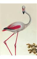 Carnet Ligné, Flamant Rose