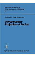 Olivocerebellar Projection