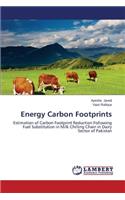 Energy Carbon Footprints